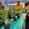 Feira de Mudas – Vasinhos esgotam em tempo recorde!